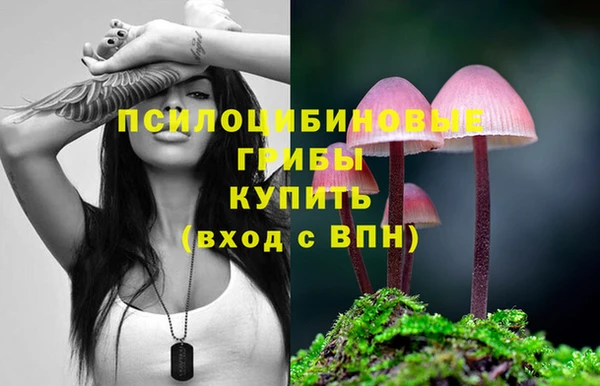 прущая мука Новозыбков