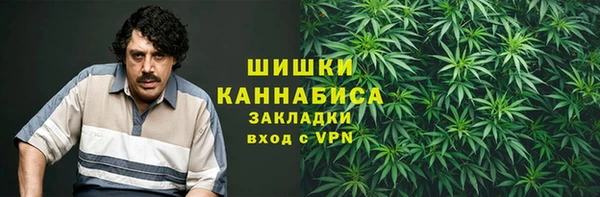 spice Весьегонск
