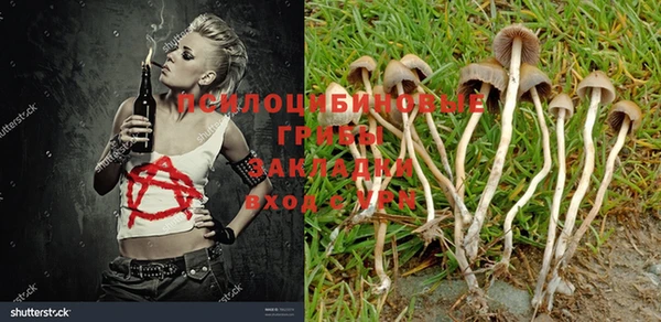 марки nbome Новодвинск