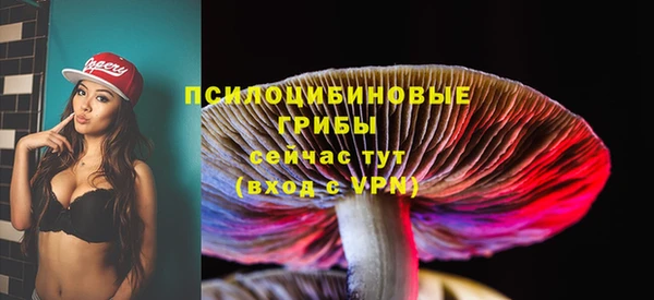 spice Весьегонск