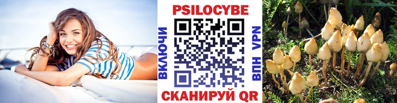 Галлюциногенные грибы GOLDEN TEACHER  где купить наркоту  Абаза 